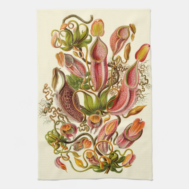 Haeckel Krug-Pflanzen-botanische Illustration Handtuch (Vertikal)