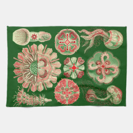 Haeckel Marine Jellyfish Illustration Red & Green Küchentuch