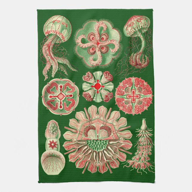 Haeckel Marine Jellyfish Illustration Red & Green Küchentuch (Vertikal)