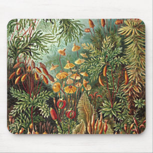 Haeckel Moss-, Grass- und Pilzgemälde Mousepad