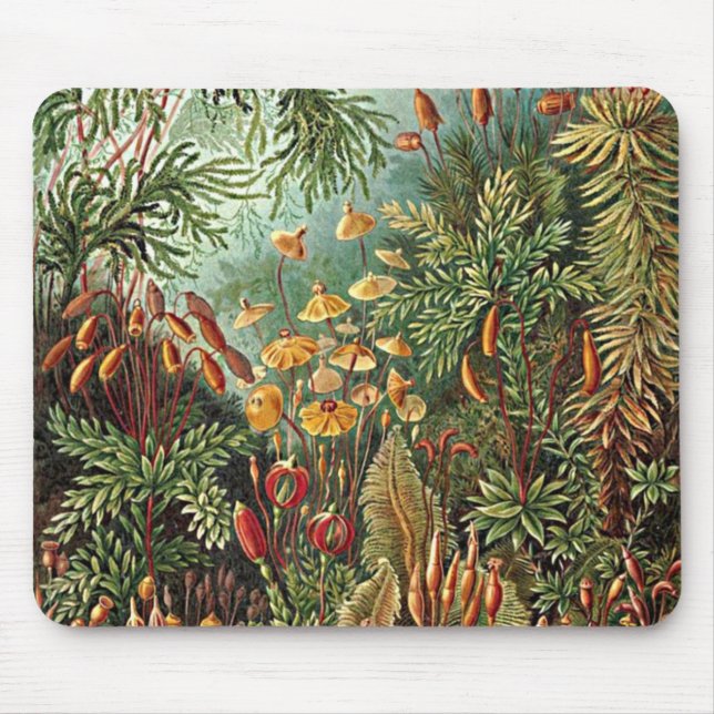 Haeckel Moss-, Grass- und Pilzgemälde Mousepad (Vorne)
