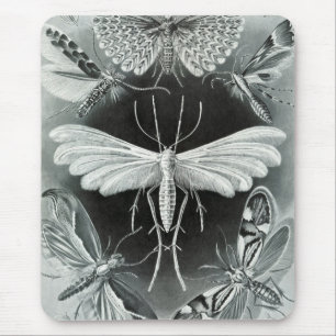 Haeckel Moths Mousepad
