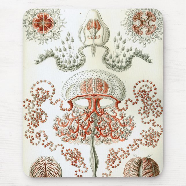 Haeckel Mousepad (Vorne)