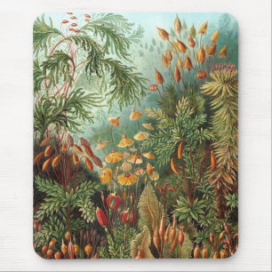 Haeckel Mousepad