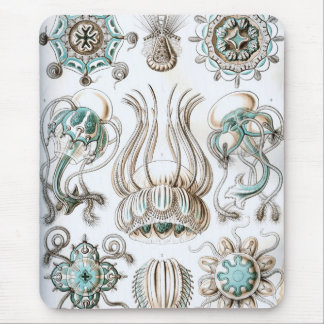 Haeckel Mousepad