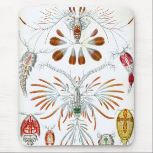 Haeckel Mousepad