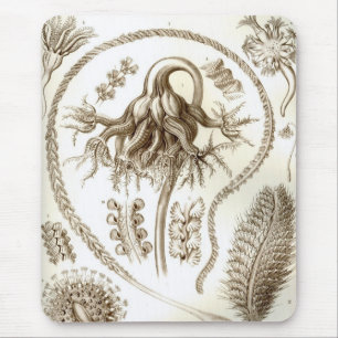 Haeckel Mousepad