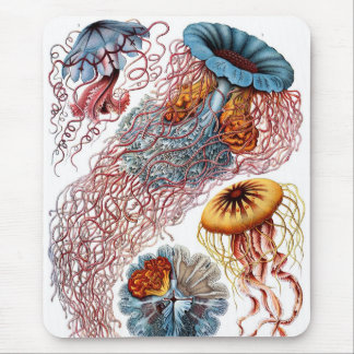 Haeckel Mousepad