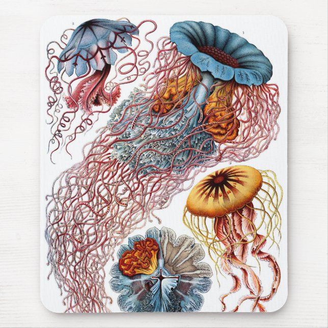 Haeckel Mousepad (Vorne)