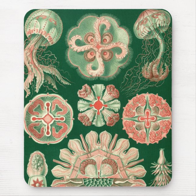 Haeckel Mousepad (Vorne)