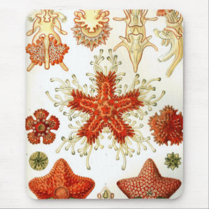 Haeckel Mousepad