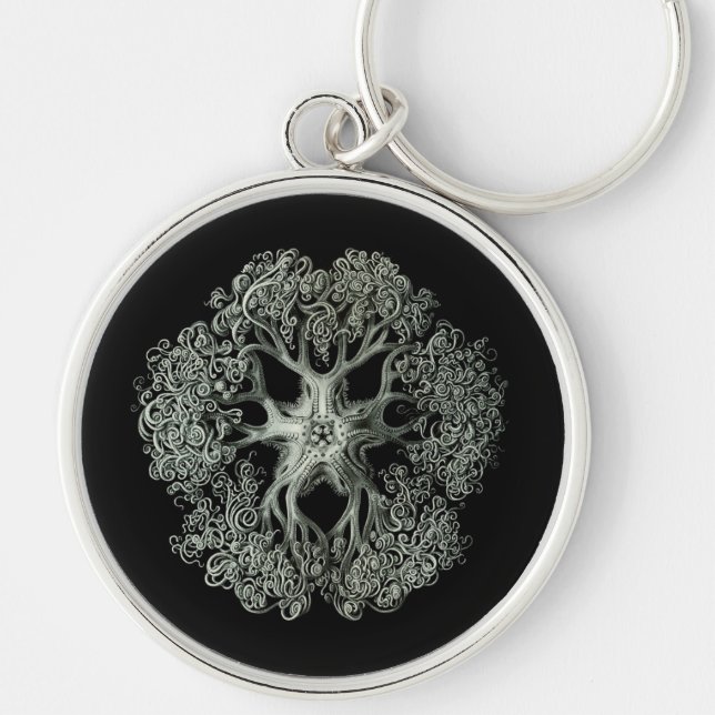Haeckel Negativ Schlüsselanhänger (Vorne)