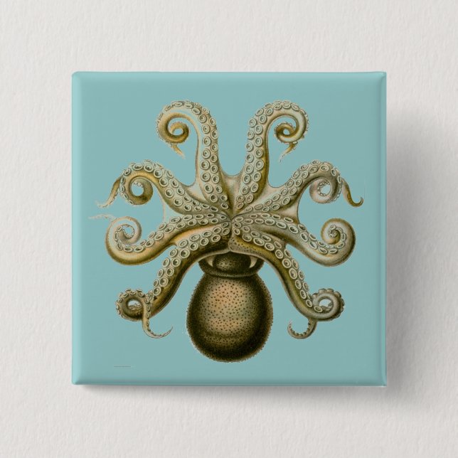 Haeckel Octopus Button (Vorderseite)