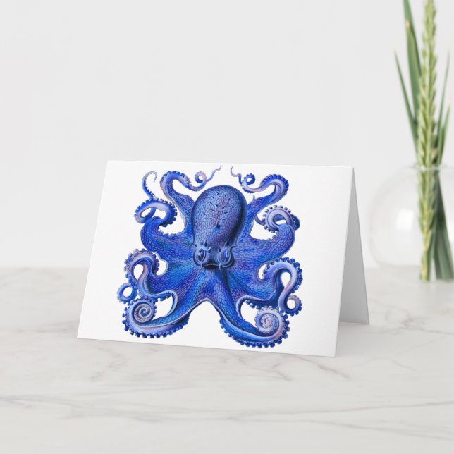 Haeckel Octopus Karte (Vorderseite)