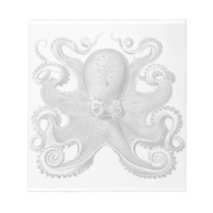 Haeckel Octopus Notepad Notizblock