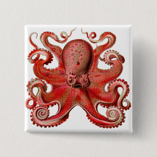 Haeckel Octopus rot Button