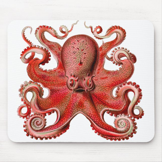 Haeckel Octopus rot Mousepad (Vorne)