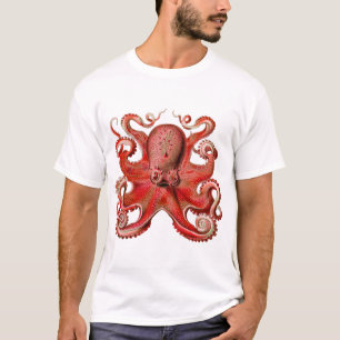 Haeckel Octopus rot T-Shirt