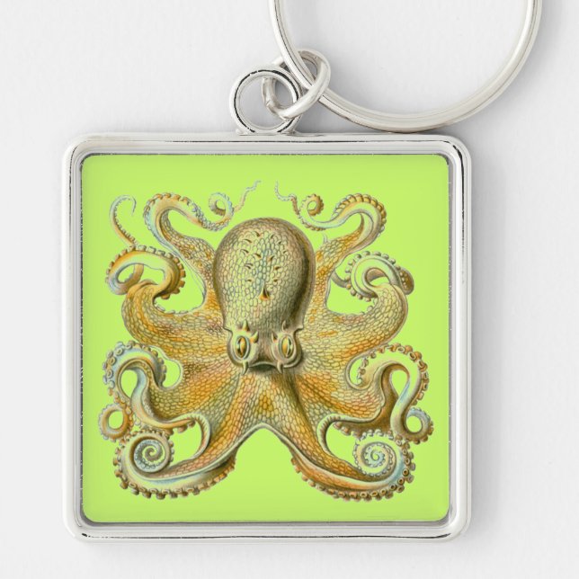 Haeckel Octopus Schlüsselanhänger (Vorne)