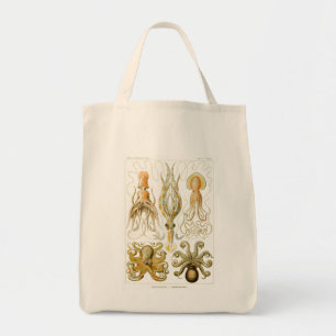 Haeckel Octopus Tragetasche