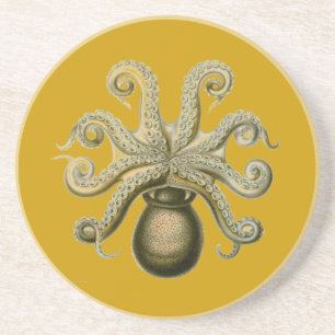 Haeckel Oktopus Getränkeuntersetzer