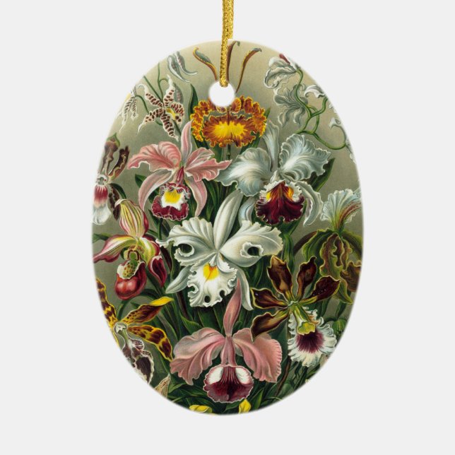 Haeckel Orchids Keramik Ornament (Vorne)