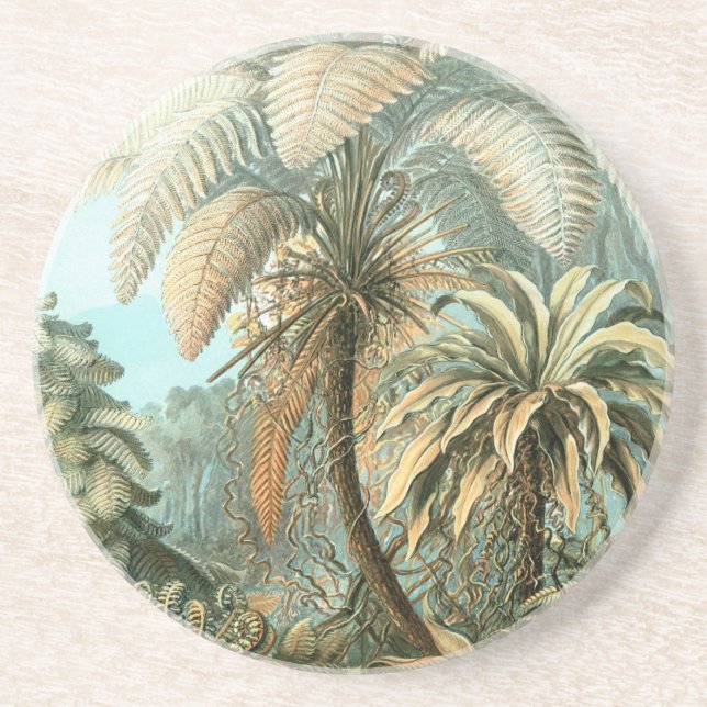 Haeckel Palm Trees Getränkeuntersetzer (Vorne)