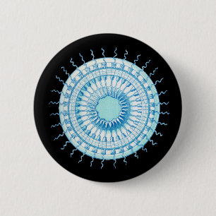 Haeckel Qualle Button