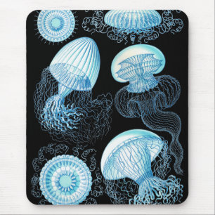 Haeckel Qualle Mousepad