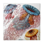 Haeckel Quallen-Keramiken Fliese<br><div class="desc">Die ursprünglichen Bilder sind vom 16. zum Anfang des 20. Jahrhunderts.  Seltene und einzigartige farbige Illustrationen durch Künstler von altem in ihrer Verfolgung,  zum der Natur zu entdecken. Dieses Bild der Quallen "von den Kunstformen der Natur" war durch Ernst Haeckel,  1834-1919 illustriert.</div>