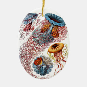 Haeckel Quallen-Verzierung Keramikornament