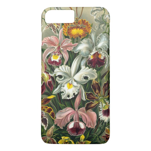 Haeckel’s Colorful Orchid Lithograph Case-Mate iPhone Hülle (Rückseite)