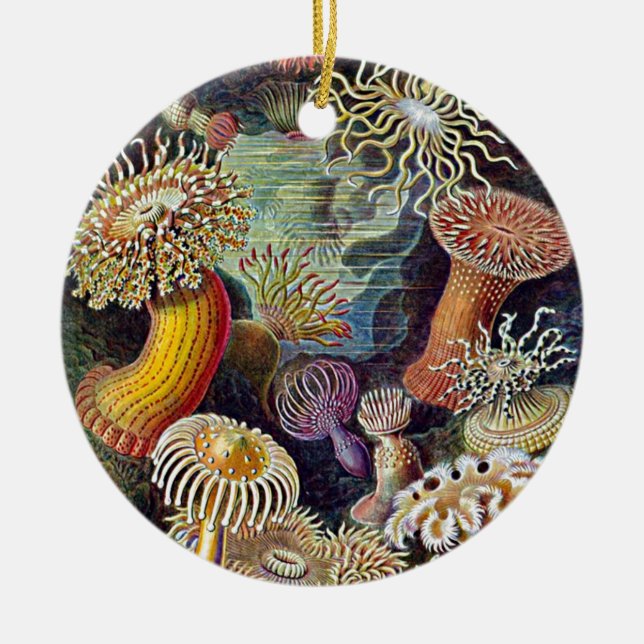Haeckel Sea Anemone Ocean Life Naturschönheiten Ma Keramikornament (Vorne)