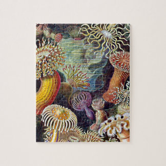 Haeckel Sea Anemone Ocean Life Naturschönheiten Ma Puzzle