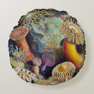 Haeckel ~ Sea Anemones Cushions Rundes Kissen