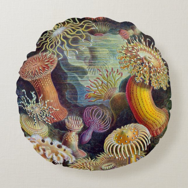 Haeckel ~ Sea Anemones Cushions Rundes Kissen (Vorderseite)