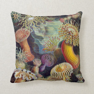 Haeckel ~ Seeanemonen-Kissen Kissen