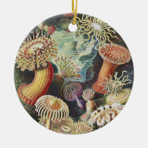 Haeckel Seeanemonen Nautische Meer Lebens Kunst Co Keramik Ornament