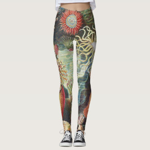 Haeckel Seeanemonen Nautische Meer Lebens Kunst Co Leggings