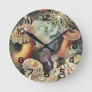 Haeckel Seeanemonen Nautische Meer Lebens Kunst Co Runde Wanduhr