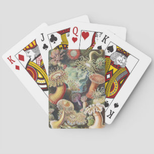 Haeckel Seeanemonen Nautische Meer Lebens Kunst Co Spielkarten