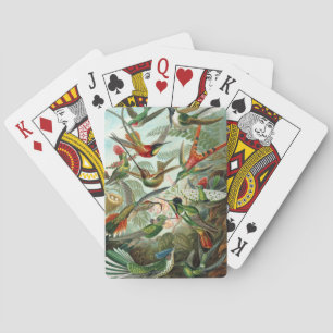 Haeckel Spielkarten