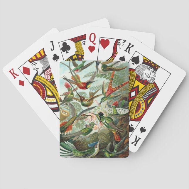 Haeckel Spielkarten (Rückseite)