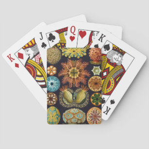 Haeckel Spielkarten
