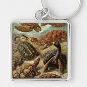 Haeckel Turtles Schlüsselanhänger