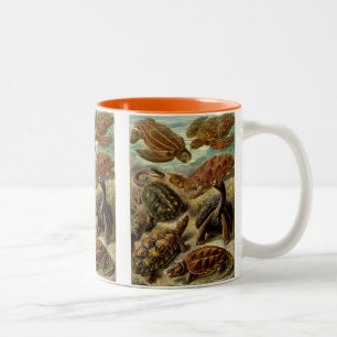Haeckel Turtles Zweifarbige Tasse