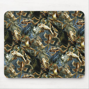 Haeckel Vintag Amphibien Mousepad