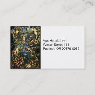 Haeckel Vintage Amphibien Visitenkarte