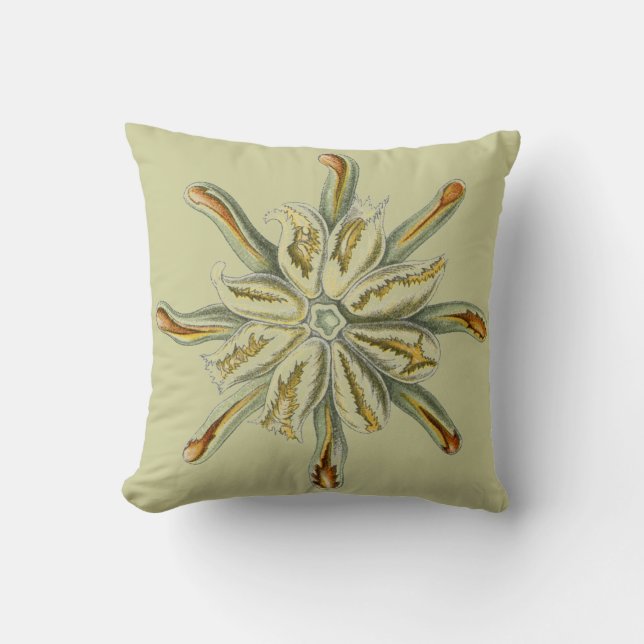 Haeckel Vintage Meereswelt Kissen (Vorderseite)