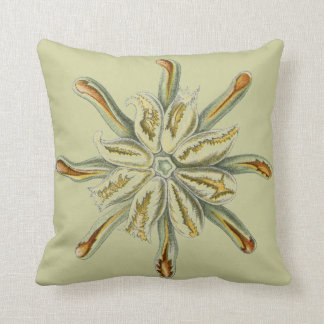 Haeckel Vintage Meereswelt Kissen